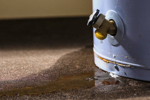 Carpet water damage restoration in Morgantown, WV