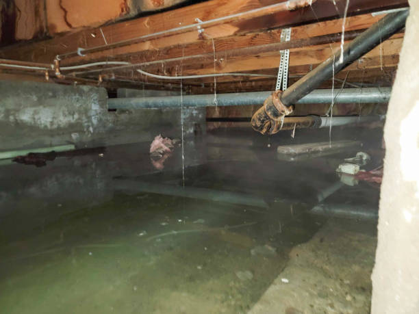 Water damage restoration mold remediation in Morgantown, WV