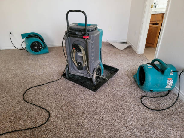 Best Ceiling water damage repair  in Morgantown, WV