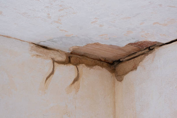 Best Residential water damage restoration  in Morgantown, WV