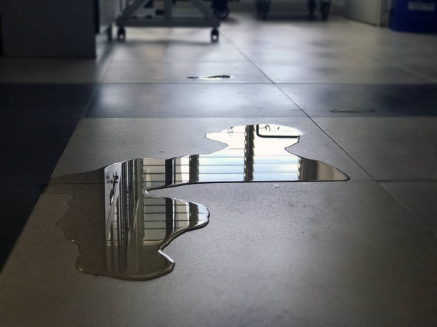 Best 24-hour water damage restoration  in Morgantown, WV