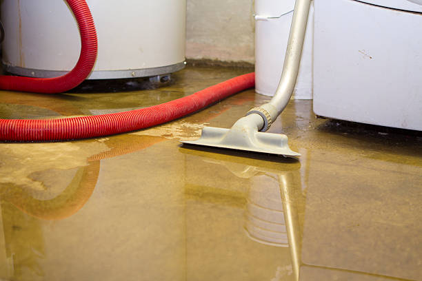  Morgantown, WV Water damage restoration Pros
