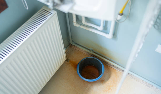 Best Water damage contractors near me  in Morgantown, WV