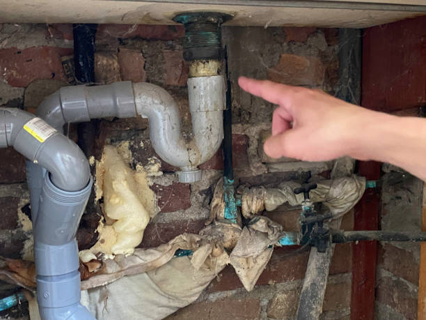 Best Local water damage restoration  in Morgantown, WV