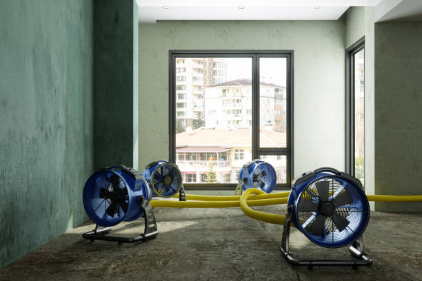 Best Carpet water damage restoration  in Morgantown, WV
