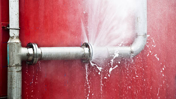 Best 24/7 water damage repair  in Morgantown, WV