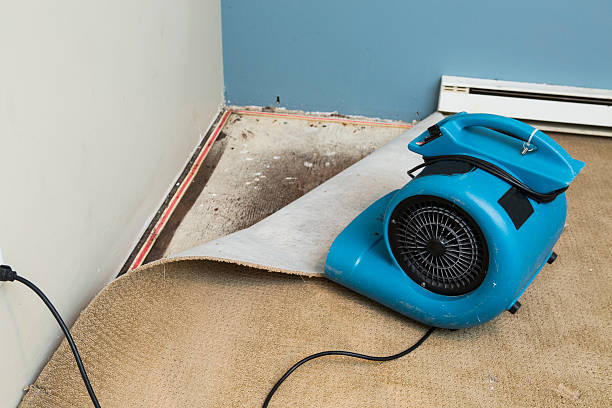 Best Water damage restoration experts  in Morgantown, WV